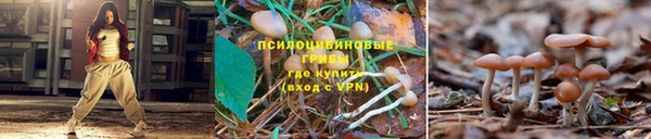 кристаллы Зеленокумск